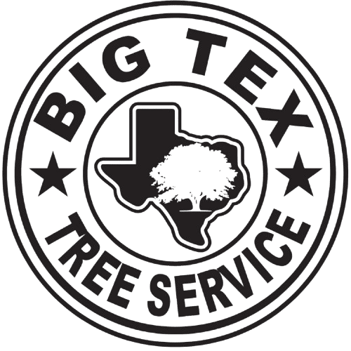 Big Tex Tree Service